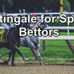 Martingale for Sports Bettors