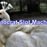 The Best Aristocrat Slot Machines